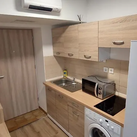 公寓 Jo-ma Apartma Povsetova *