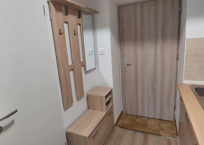 Jo-ma Apartma Povsetova Apartament